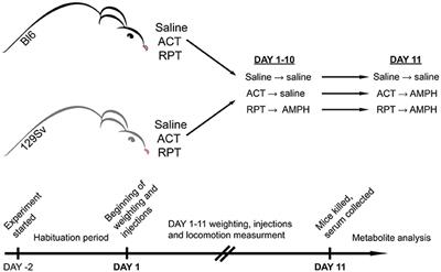 Repeated Administration of D-Amphetamine Induces Distinct Alterations in Behavior and Metabolite Levels in 129Sv and Bl6 Mouse Strains